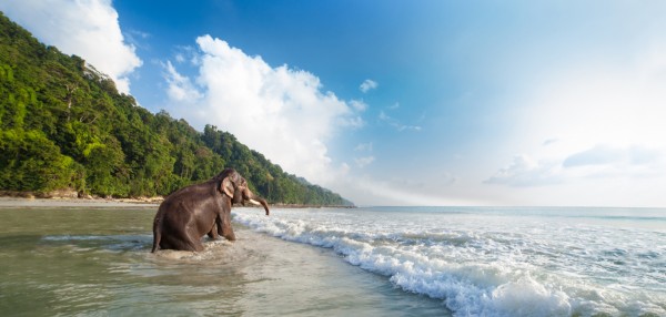 PRECIOUS ANDAMAN