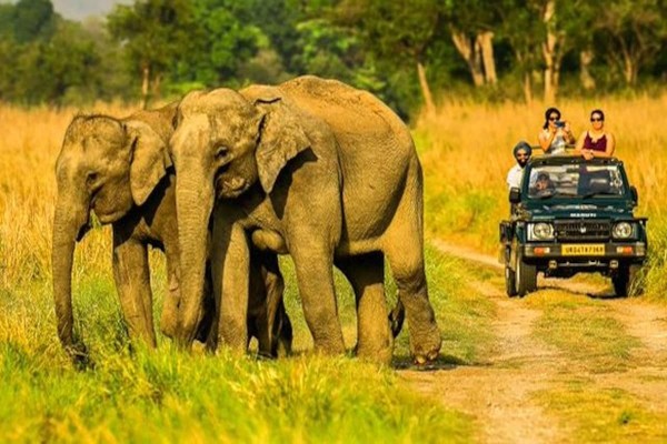 Jim Corbett